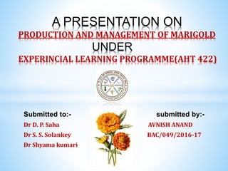 Submitted to:- submitted by:-
Dr D. P. Saha AVNISH ANAND
Dr S. S. Solankey BAC/049/2016-17
Dr Shyama kumari
A PRESENTATION ON
PRODUCTION AND MANAGEMENT OF MARIGOLD
UNDER
EXPERINCIAL LEARNING PROGRAMME(AHT 422)
 