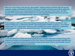 Considerations for sustainable 
fisheries development in the Arctic 
A holistic cross-sectoral approach: 
-safeguarding th...