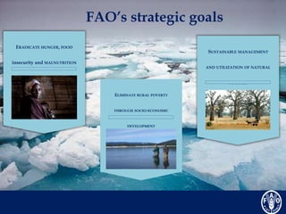 FAO’s strategic goals 
ERADICATE HUNGER, FOOD 
insecurity and MALNUTRITION 
ELIMINATE RURAL POVERTY 
THROUGH SOCIO-ECONOMI...
