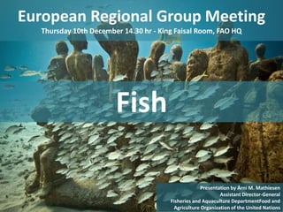 European Regional Group Meeting
Thursday 10th December 14.30 hr - King Faisal Room, FAO HQ
1
Presentation by Árni M. Mathiesen
Assistant Director-General
Fisheries and Aquaculture DepartmentFood and
Agriculture Organization of the United Nations
Fish
 