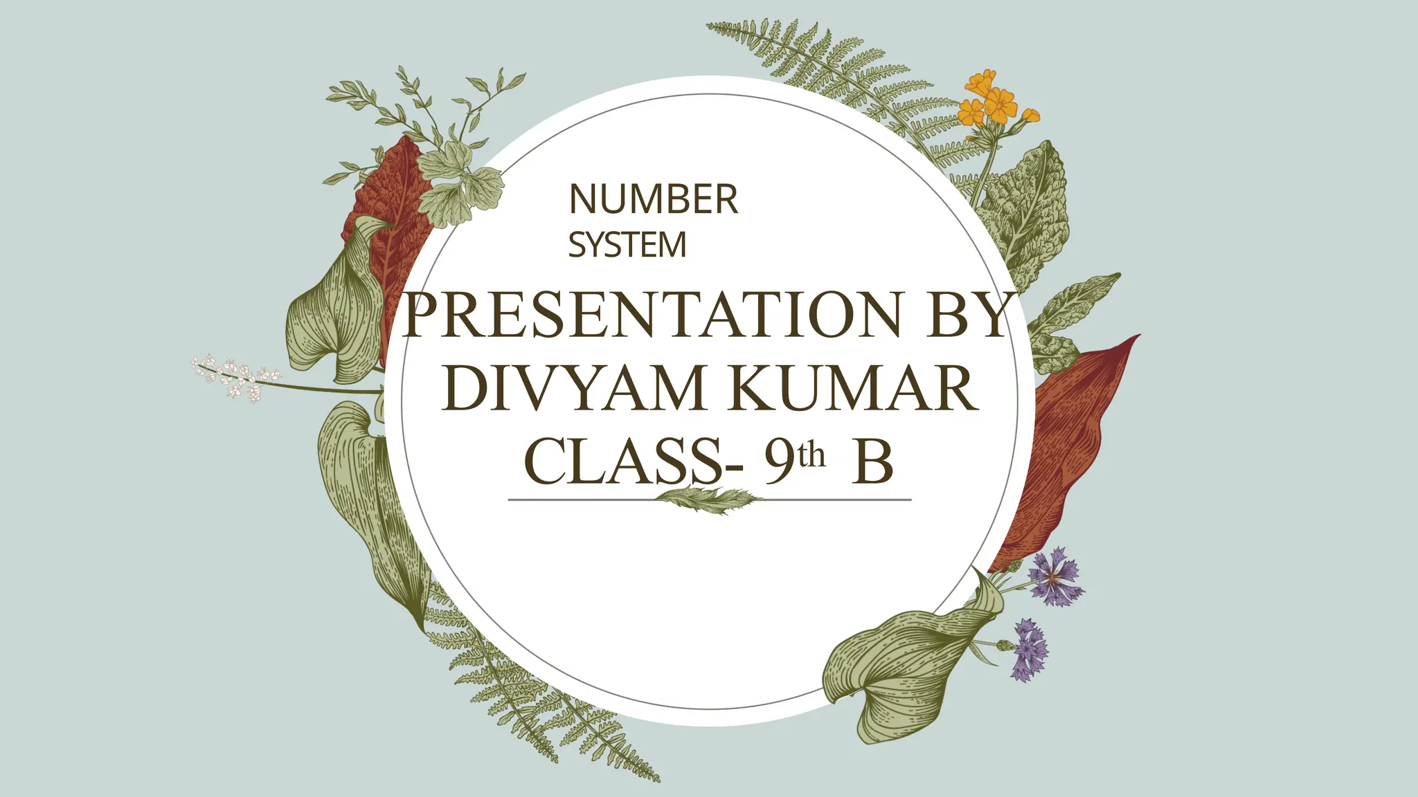PRESENTATION BY
DIVYAM KUMAR
CLASS- 9th B
NUMBER
SYSTEM
 