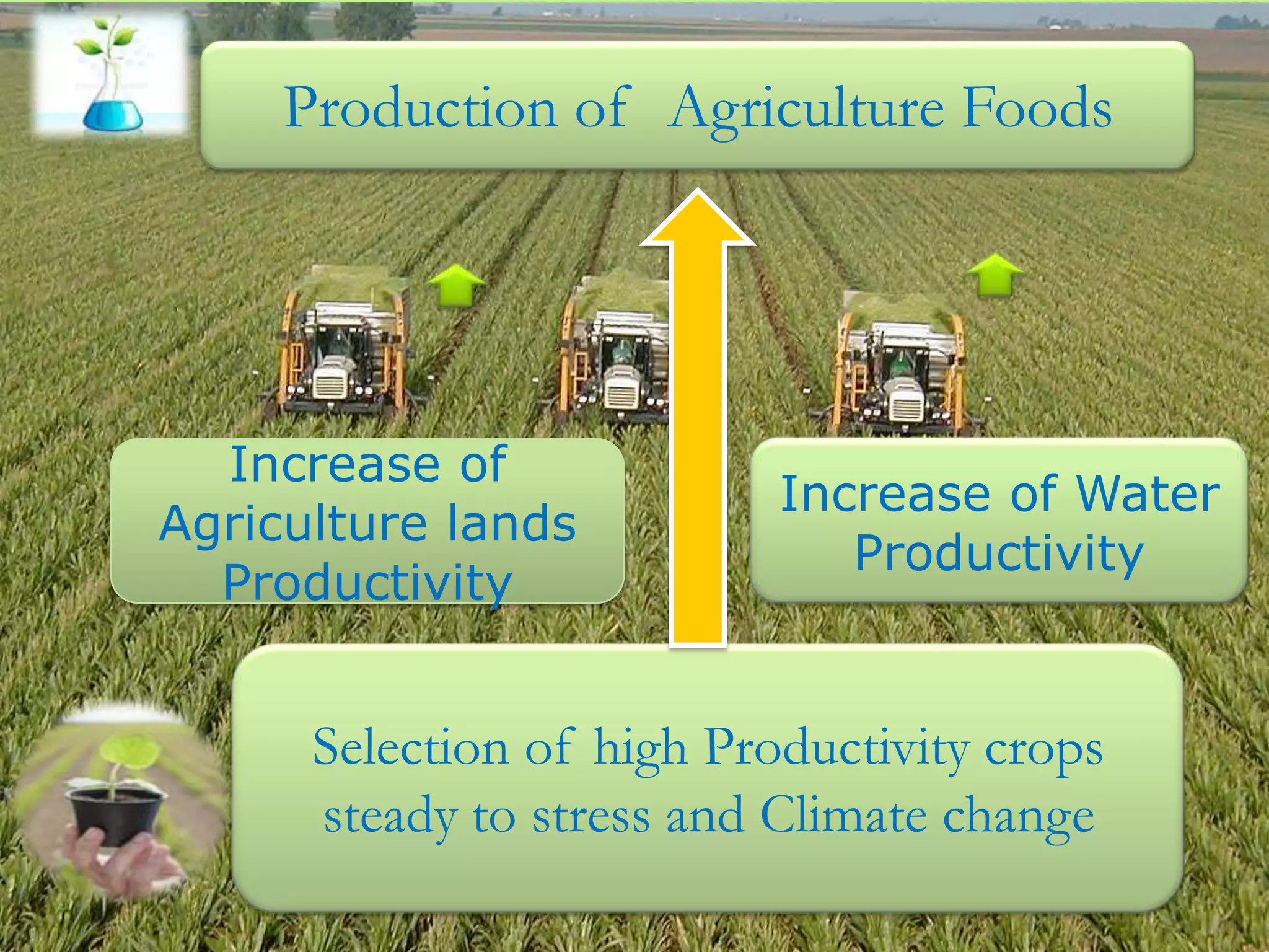 Production of Agriculture Foods




  Increase of
                           Increase of Water
Agriculture lands
                              Productivity
  Productivity


      Selection of high Productivity crops
      steady to stress and Climate change
 
