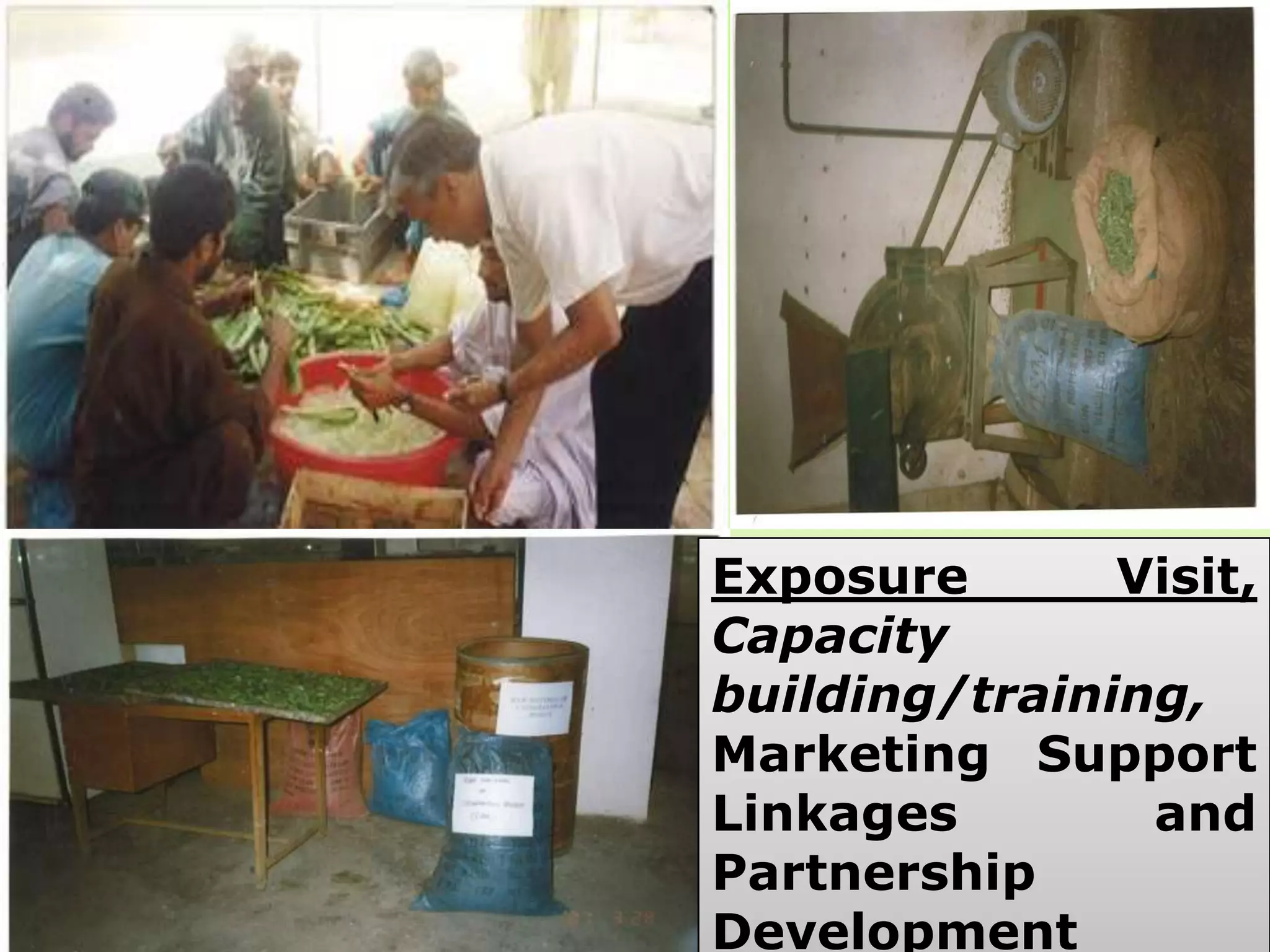 Exposure       Visit,
Capacity
building/training,
Marketing Support
Linkages        and
Partnership
Development
 