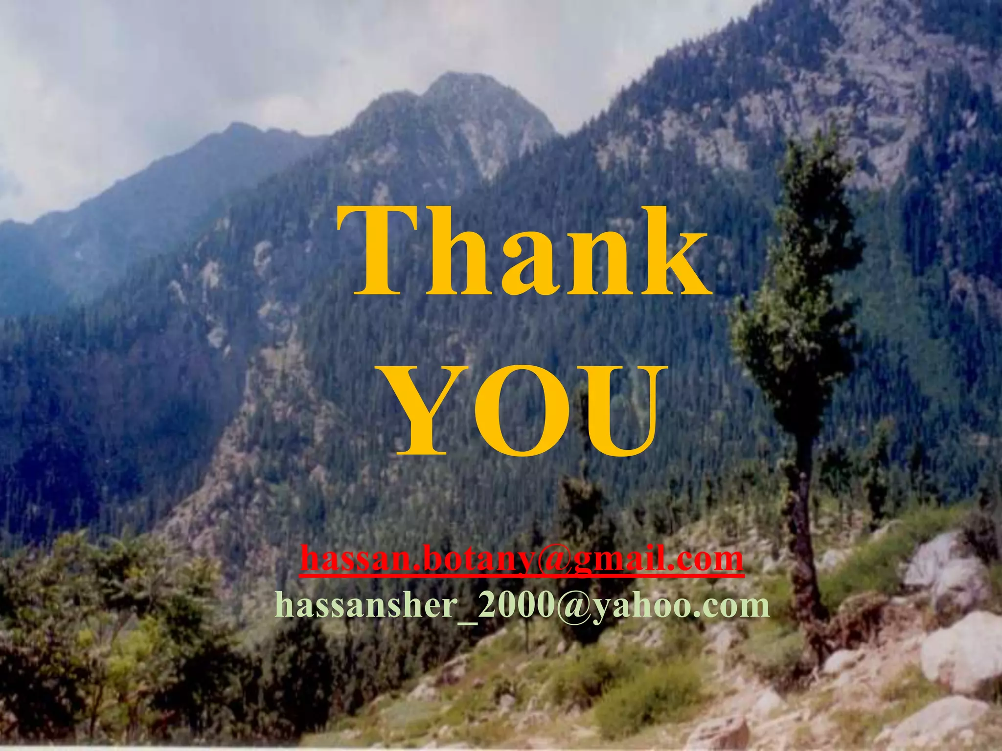 Thank
  YOU
 hassan.botany@gmail.com
hassansher_2000@yahoo.com
 