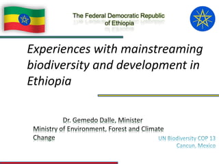 Experiences with mainstreaming
biodiversity and development in
Ethiopia
 