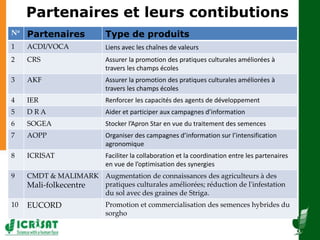  Diffusion à grande échelle des techniques des systèmes de production de sorgho et de mil 