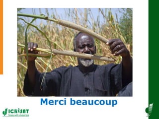  Diffusion à grande échelle des techniques des systèmes de production de sorgho et de mil 