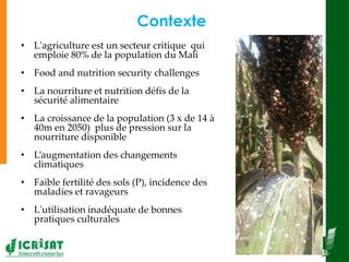  Diffusion à grande échelle des techniques des systèmes de production de sorgho et de mil 