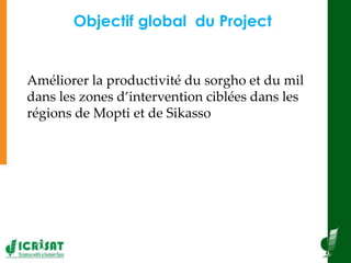  Diffusion à grande échelle des techniques des systèmes de production de sorgho et de mil 