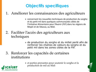  Diffusion à grande échelle des techniques des systèmes de production de sorgho et de mil 