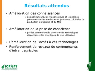  Diffusion à grande échelle des techniques des systèmes de production de sorgho et de mil 