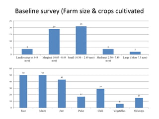 Baseline survey (Farm size & crops cultivated
 