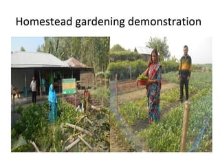 Homestead gardening demonstration
 