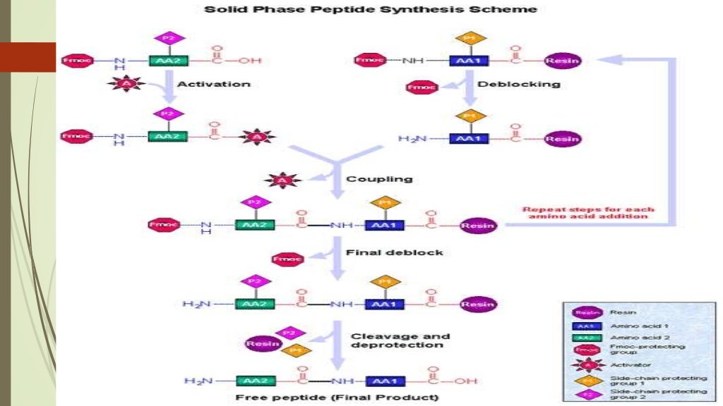 solid phase synthesis Presentation by komal