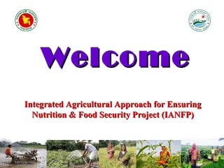 WelcomeWelcome
Integrated Agricultural Approach for EnsuringIntegrated Agricultural Approach for Ensuring
Nutrition & Food Security Project (IANFP)Nutrition & Food Security Project (IANFP)
 