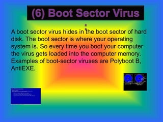 A boot sector virus hides in the boot sector of hard
disk. The boot sector is where your operating
system is. So every time you boot your computer
the virus gets loaded into the computer memory.
Examples of boot-sector viruses are Polyboot B,
AntiEXE.
 