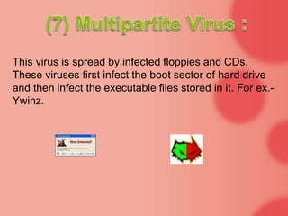 This virus is spread by infected floppies and CDs.
These viruses first infect the boot sector of hard drive
and then infect the executable files stored in it. For ex.-
Ywinz.
 