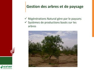 Programme d’apprentissage sur l’adaptation aux changements climatiques à Mopti 