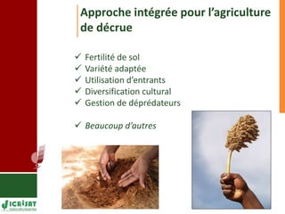 Programme d’apprentissage sur l’adaptation aux changements climatiques à Mopti 