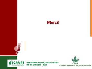 Programme d’apprentissage sur l’adaptation aux changements climatiques à Mopti 