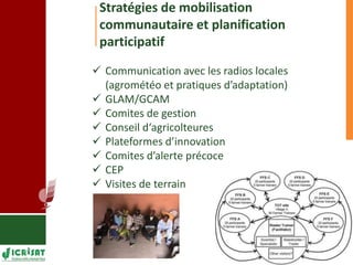 Programme d’apprentissage sur l’adaptation aux changements climatiques à Mopti 