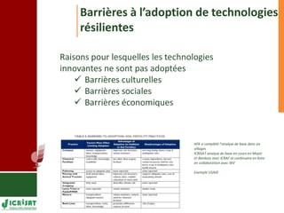 Programme d’apprentissage sur l’adaptation aux changements climatiques à Mopti 
