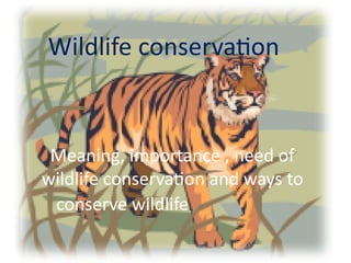 presentation by nancy.pptx conservation and protection of forest and ...