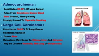 Adenocarcinoma :
 Constitutes 25-30% Of Lung Cancer
 Arise From Bronchiole Mucus Gland
 Slow Growth, Rarely Cavity
 Strongly Linked To Cigarette Smoking
Large Cell Carcinoma :
 Constitutes 10-20% Of Lung Cancer
 Cavitation Common
 Grows Slow
 Metastasis May Occur To Kidney, Liver And Adrenals
 May Be Located Centrally, Mid Lung Or Peripherally
 