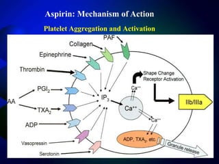 Presentation by neha jain on aspirin induced alterations on liver and ...