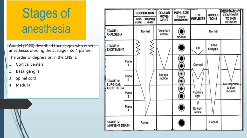 General anesthesia Presentation by Muhammad Saeed