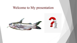 Welcome to My presentation
 