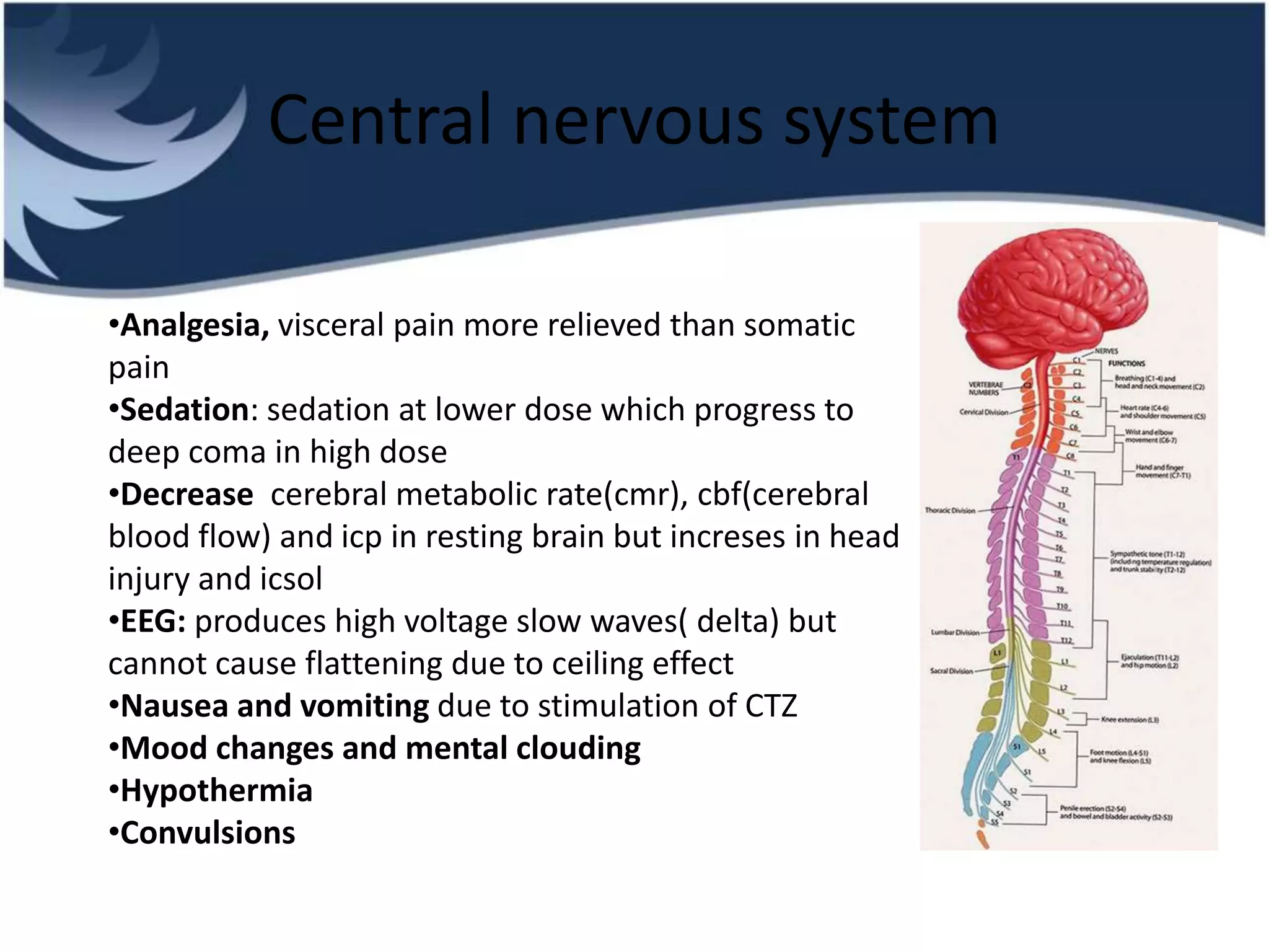 Central nervous system
•Analgesia, visceral pain more relieved than somatic
pain
•Sedation: sedation at lower dose which progress to
deep coma in high dose
•Decrease cerebral metabolic rate(cmr), cbf(cerebral
blood flow) and icp in resting brain but increses in head
injury and icsol
•EEG: produces high voltage slow waves( delta) but
cannot cause flattening due to ceiling effect
•Nausea and vomiting due to stimulation of CTZ
•Mood changes and mental clouding
•Hypothermia
•Convulsions
 