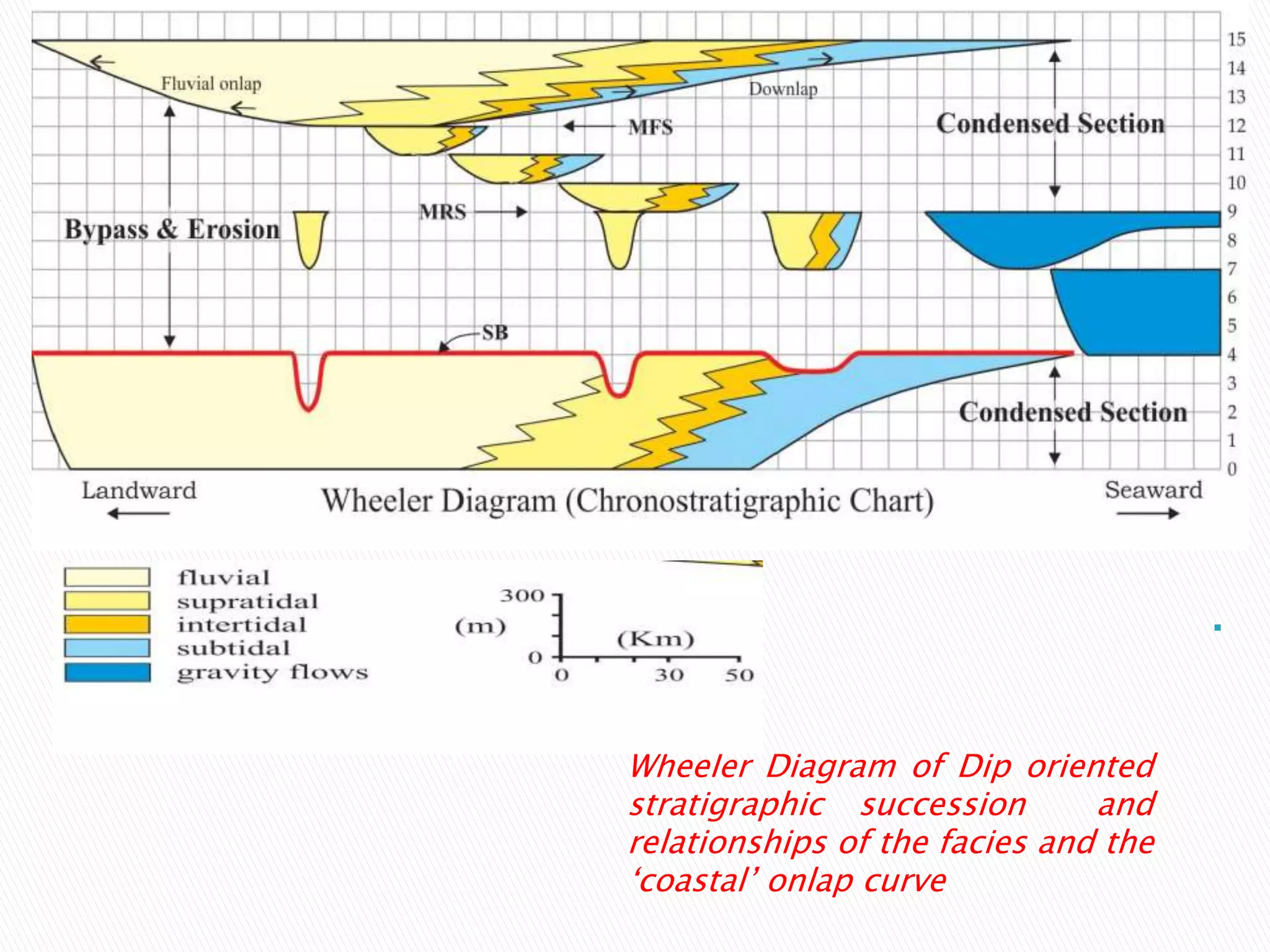 .
Wheeler Diagram of Dip oriented
stratigraphic succession and
relationships of the facies and the
‘coastal’ onlap curve
 
