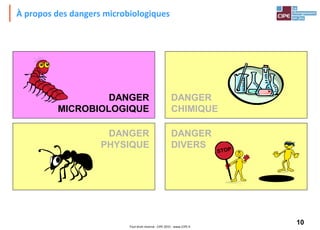 10Tout droit réservé - CIPE 2015 - www.CIPE.fr
À propos des dangers microbiologiques
DANGER
CHIMIQUE
DANGER
PHYSIQUE
DANGER
DIVERS
DANGER
MICROBIOLOGIQUE
 