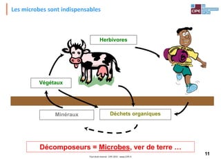 11Tout droit réservé - CIPE 2015 - www.CIPE.fr
Décomposeurs = Microbes, ver de terre …
Déchets organiquesMinéraux
Herbivores
Végétaux
Les microbes sont indispensables
 