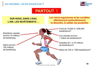 19Tout droit réservé - CIPE 2015 - www.CIPE.fr
PARTOUT !
Les micro-organismes et les nuisibles
affectionnent particulièrement
le désordre, la saleté, les poubelles
Les microbes : où les trouve-t-on ?
Front de 10.000 à 1.000.000
bactéries/cm2
Cuir chevelu environ
1 million de bactéries/cm2
Aisselles de 1 à 10 millions
de bactéries/cm2
Mains de 100 à 1 000 bactéries/cm2
Sécrétions nasales
environ 10 millions
de bactéries/g
Salive environ
100 millions
de bactéries/g
SUR NOUS, DANS L'EAU,
L'AIR, LES REVÊTEMENTS …
 