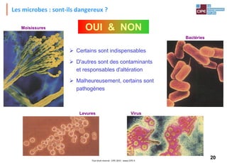 20Tout droit réservé - CIPE 2015 - www.CIPE.fr
OUI & NON
Les microbes : sont-ils dangereux ?
Bactéries
Virus
Moisissures
Levures
 Certains sont indispensables
 D'autres sont des contaminants
et responsables d'altération
 Malheureusement, certains sont
pathogènes
 