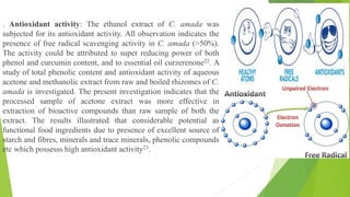 Presentation c amada | PPTX