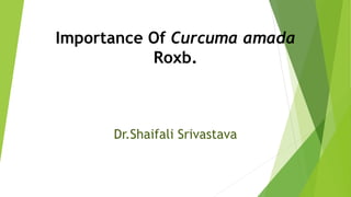Importance Of Curcuma amada
Roxb.
Dr.Shaifali Srivastava
 