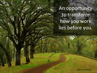 An opportunity to transform how you work lies before you. Flickr: John-Morgan 