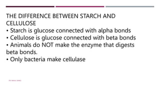 THE DIFFERENCE BETWEEN STARCH AND
CELLULOSE
• Starch is glucose connected with alpha bonds
• Cellulose is glucose connected with beta bonds
• Animals do NOT make the enzyme that digests
beta bonds.
• Only bacteria make cellulase
DR. RAHUL DANGI
 