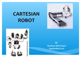 CARTESIAN
  ROBOT


                   By
            Norhana Binti Nazri
             September/2012
 