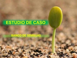 ESTUDIO DE CASO

  BANCO DE SEMILLAS
 