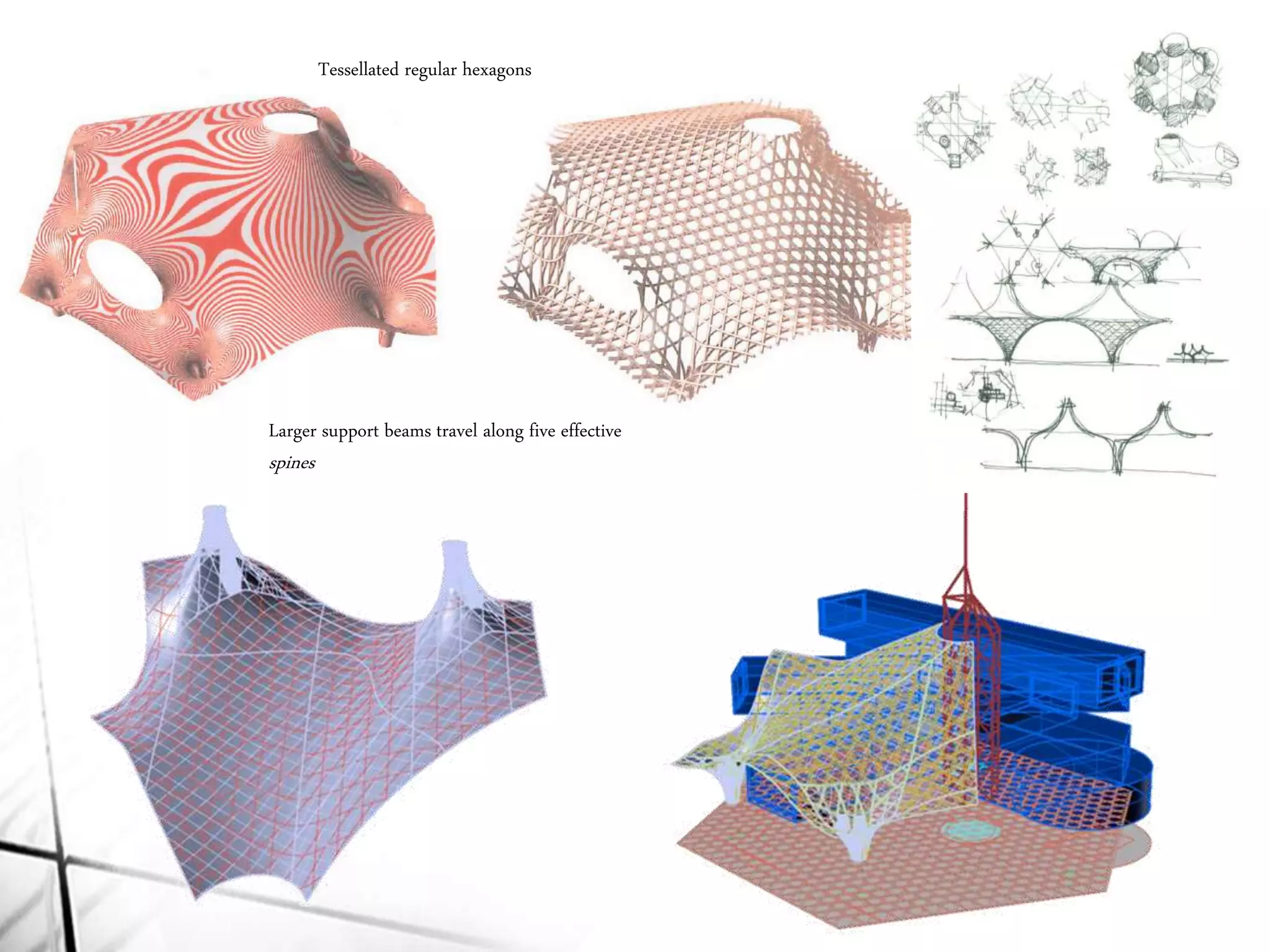 Tessellated regular hexagons
Larger support beams travel along five effective
spines
 