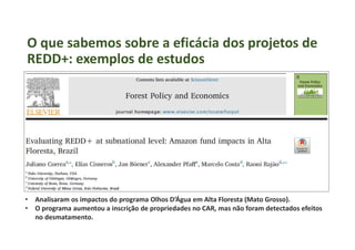 Impacts of voluntary REDD+ Projects (Avaliação dos impactos de projetos de REDD+: Um caso na região da rodovia Transamazônica)