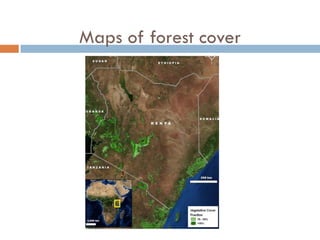 Maps of forest cover
 