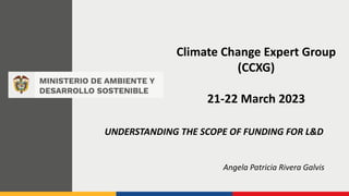Climate Change Expert Group
(CCXG)
21-22 March 2023
UNDERSTANDING THE SCOPE OF FUNDING FOR L&D
Angela Patricia Rivera Galvis
 