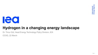 Page 1
Hydrogen in a changing energy landscape
CCXG, 22 March
Dr. Timur Gül, Head Energy Technology Policy Division, IEA
 