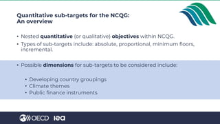 Quantitative sub-targets for the NCQG:
An overview
• Nested quantitative (or qualitative) objectives within NCQG.
• Types of sub-targets include: absolute, proportional, minimum floors,
incremental.
• Possible dimensions for sub-targets to be considered include:
• Developing country groupings
• Climate themes
• Public finance instruments
 