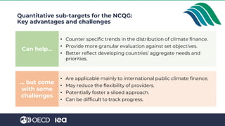 Quantitative sub-targets for the NCQG:
Key advantages and challenges
• Counter specific trends in the distribution of climate finance.
• Provide more granular evaluation against set objectives.
• Better reflect developing countries’ aggregate needs and
priorities.
Can help…
• Are applicable mainly to international public climate finance.
• May reduce the flexibility of providers.
• Potentially foster a siloed approach.
• Can be difficult to track progress.
… but come
with some
challenges
 